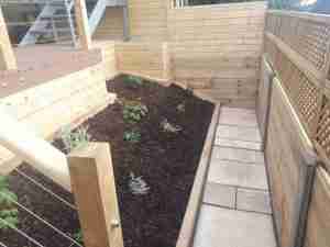 Image of the new raised beds and path with new timber boundary fencing