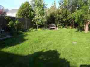 Image of undefined lawn and area for glass house and path
