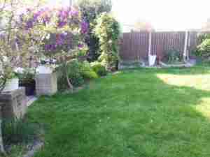 Image of undefined lawn and area for glass house and path