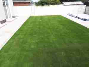 Artificial lawn