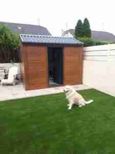Image of dog on the artificial lawn
