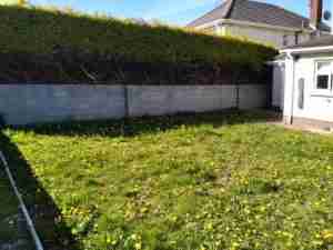 Image of weedy rear garden and bare block wall