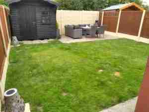View of dog marked lawn which was very wet in winter
