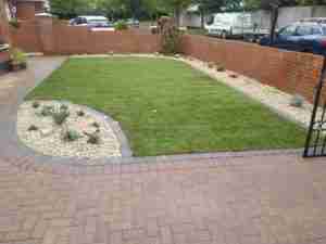 View of new turf lawn and mowing edge with gravel border bed and mixed cottage perennials