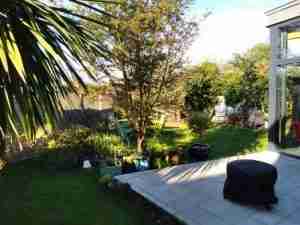 Image of Cluttered garden space before
