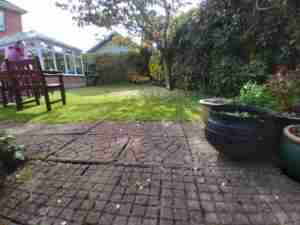 Image of Garden before with overgrown vegetation on the walls