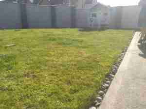 Image of the Garden before landscape works