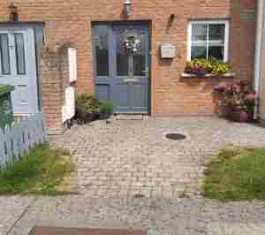 Image of garden before