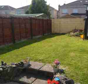 Garden before image