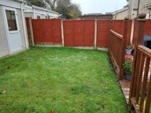 Boggy lawn area