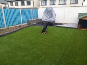 Pet friendly garden